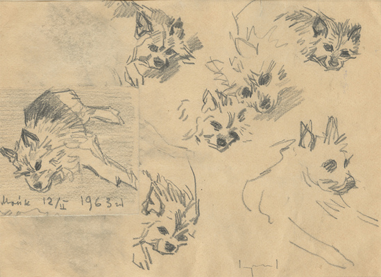 Аронов Лев Ильич. Двухсторонний лист с набросками собаки Майк и обнаженной со спины